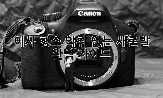 이사 청소, 악취 없는 새출발! 완벽 가이드
