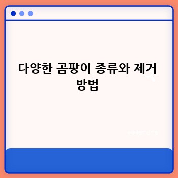 다양한 곰팡이 종류와 제거 방법