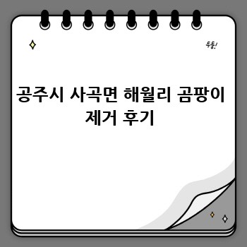 공주시 사곡면 해월리 곰팡이 제거 후기