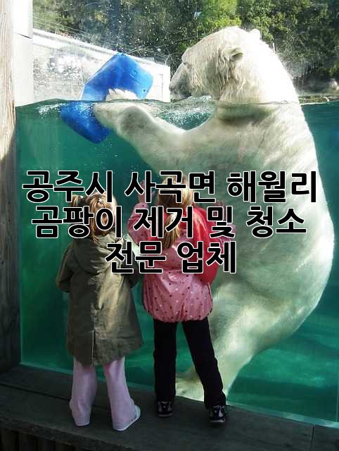 공주시 사곡면 해월리 곰팡이 제거 및 청소 전문 업체