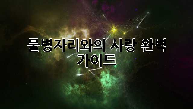 물병자리와의 사랑, 완벽 가이드 ✨