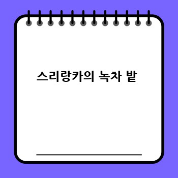 스리랑카의 녹차 밭