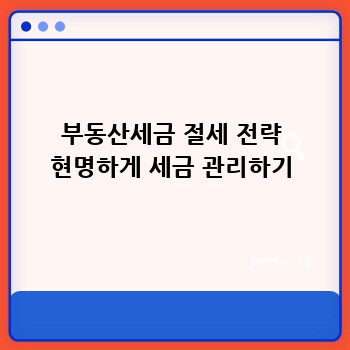 부동산세금 절세 전략 현명하게 세금 관리하기