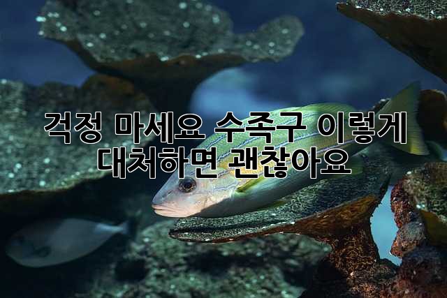 걱정 마세요! 수족구, 이렇게 대처하면 괜찮아요!