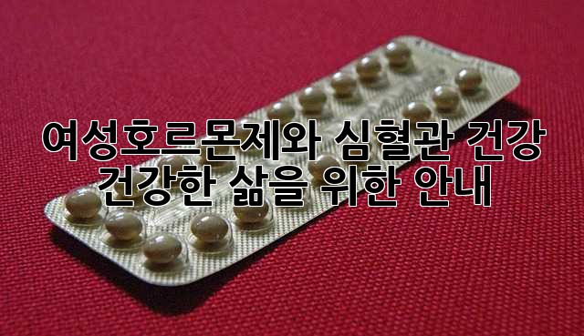 여성호르몬제와 심혈관 건강: 건강한 삶을 위한 안내