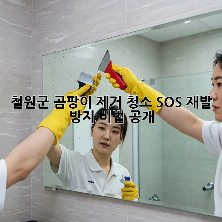 철원군 곰팡이 제거 청소 SOS🚨 재발 방지 비법 공개!