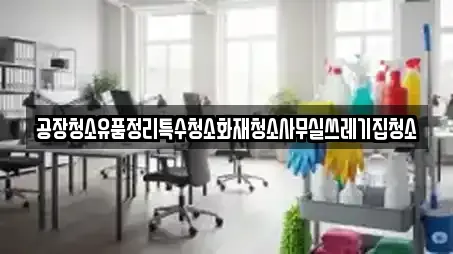 공장청소유품정리특수청소화재청소사무실쓰레기집청소