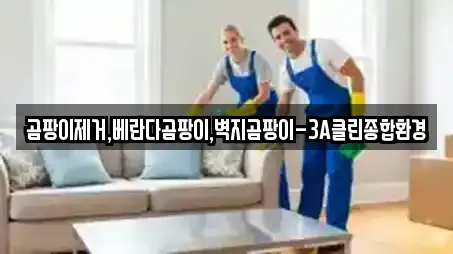 곰팡이제거,베란다곰팡이,벽지곰팡이-3A클린종합환경