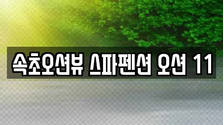 속초오션뷰 스파펜션 오션 11