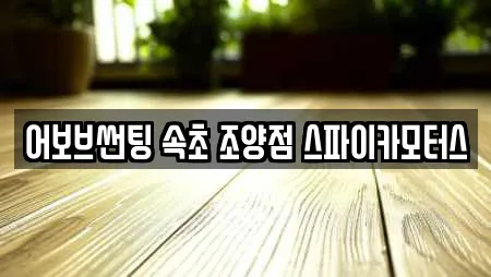 어보브썬팅 속초 조양점 스파이카모터스