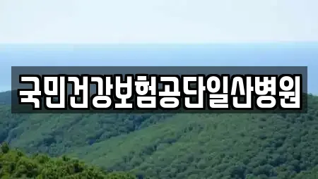 국민건강보험공단일산병원