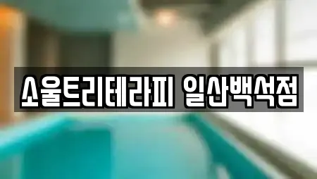 소울트리테라피 일산백석점