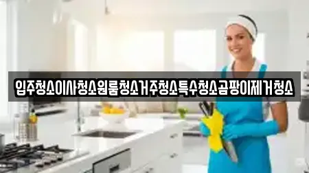 입주청소이사청소원룸청소거주청소특수청소곰팡이제거청소
