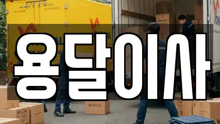 용달이사