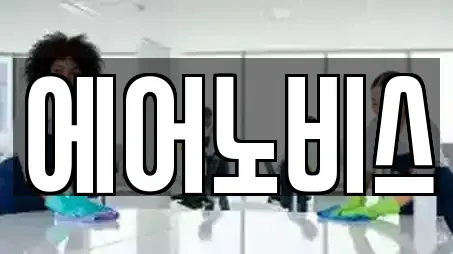 에어노비스