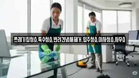 쓰레기집청소.특수청소.반려견냄새제거.입주청소.이사청소.사무소
