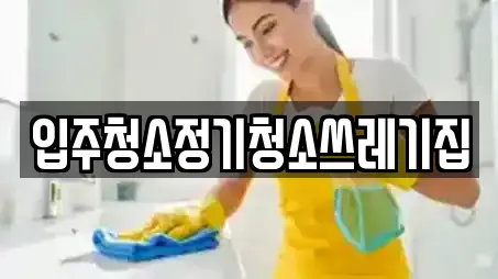 입주청소정기청소쓰레기집
