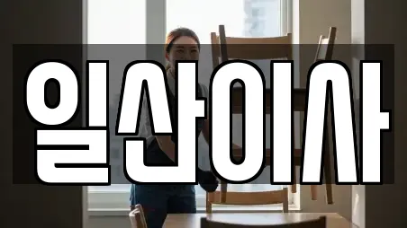 일산이사