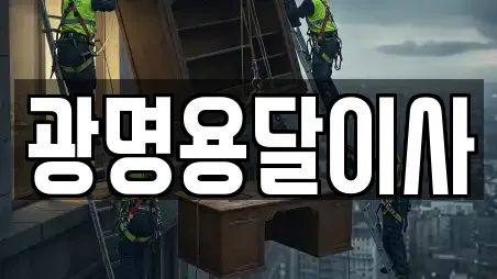 광명용달이사