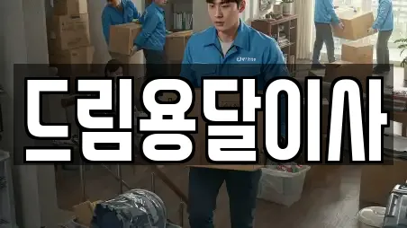 드림용달이사