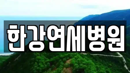 한강연세병원