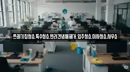 쓰레기집청소.특수청소.반려견냄새제거.입주청소.이사청소.사무소