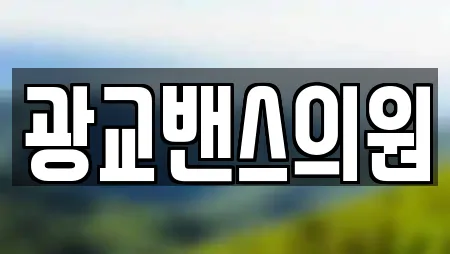 광교밴스의원