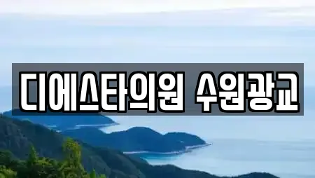 디에스타의원 수원광교