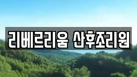 리베르리움 산후조리원