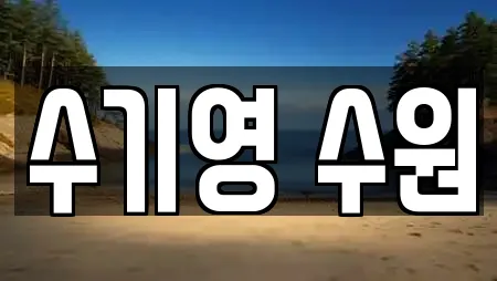 수기영 수원
