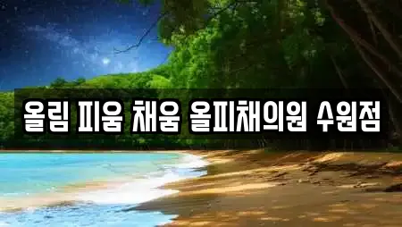 올림 피움 채움 올피채의원 수원점