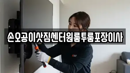 손오공이삿짐센터원룸투룸포장이사