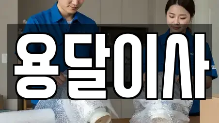 용달이사