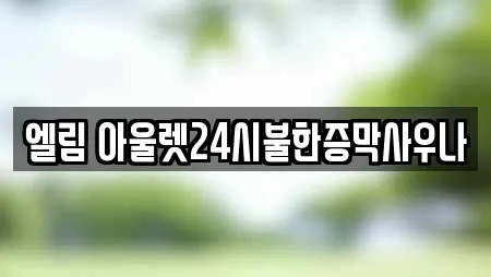 엘림 아울렛24시불한증막사우나