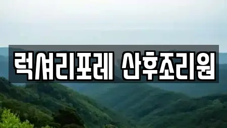 럭셔리포레 산후조리원