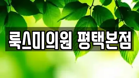 룩스미의원 평택본점