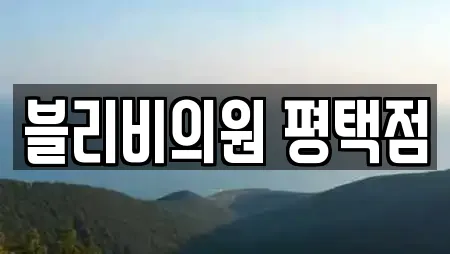 블리비의원 평택점