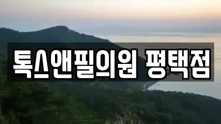 톡스앤필의원 평택점