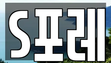 S포레