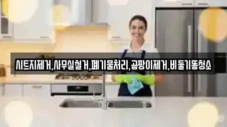 시트지제거,사무실철거,폐기물처리,곰팡이제거,비둘기똥청소