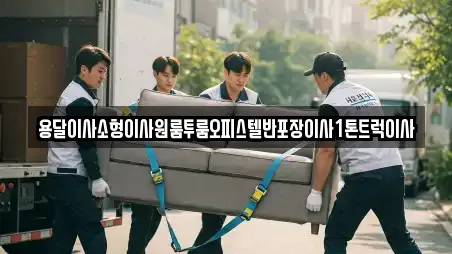 용달이사소형이사원룸투룸오피스텔반포장이사1톤트럭이사
