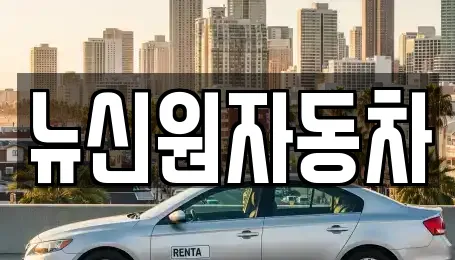 뉴신원자동차