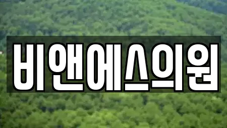 비앤에스의원