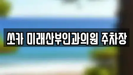 쏘카 미래산부인과의원 주차장