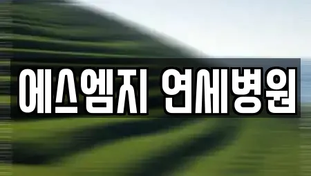 에스엠지 연세병원