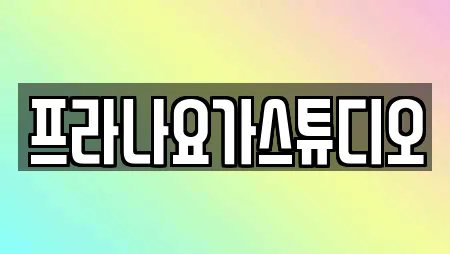 프라나요가스튜디오