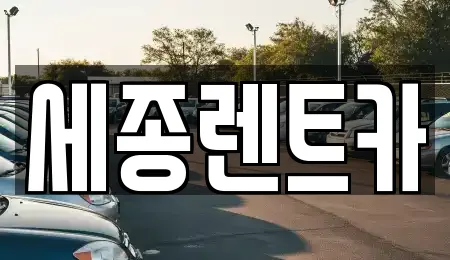 세종렌트카