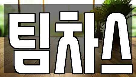 팀차스