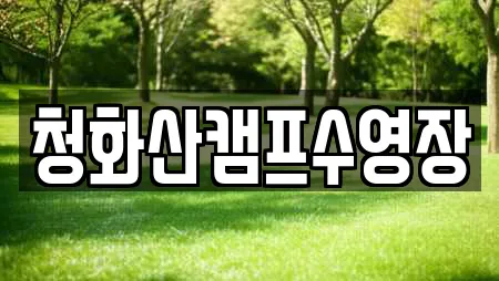 청화산캠프수영장