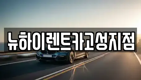 뉴하이렌트카고성지점